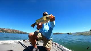 Excellent Clear Lake Ca Bass fishing report. Comparing Notes.6-23-2026
