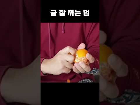 <strong>귤</strong> 잘 까는 법  #shotrs #개복어