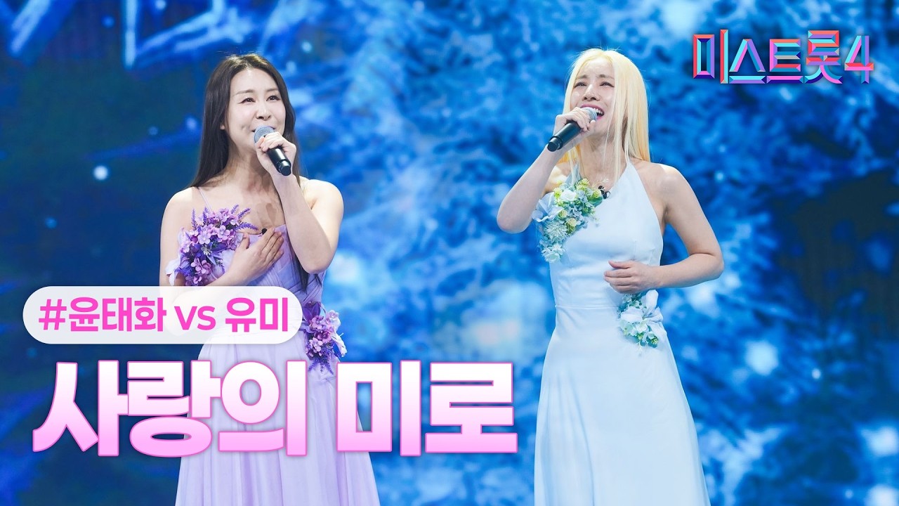 사랑의 미로