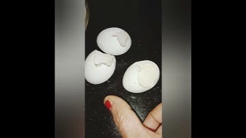 #kitchentips #homeremedies #lizard#tips #moneysavingtips