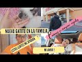 TENEMOS NUEVO GATITO EN LA FAMILIA | ME LAVARON MI SOFA | #SILVIAENTUVIDA