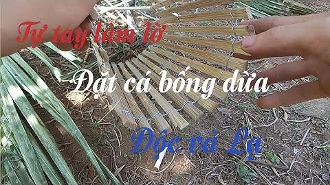 Phần 1: Làm lờ đặt cá bống dừa độc lạ và trải nghiệm đi đặt cá bóng dừa.