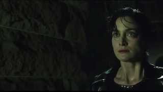 Damn,Gina! Matrix Promo