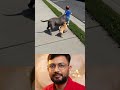 এই কুকুর না থাকলে আজ বাচ্চাটা বাঁচত না 😳🐶