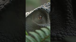 ​#Giganotosaurus #Argentinosaurus #Dinosaur #Prehistoric #MonsterBattle #Shorts #AnimalFaceoff
