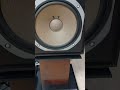 YAMAHA NS1000