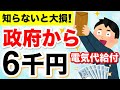 【知らないと損！】政府から全国民へ6千円給付！電気・ガス代補助が8月から再開！いくら安くなる？2024年夏の経済対策について徹底解説！