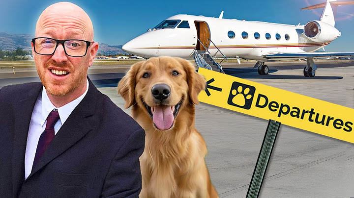 Jeg fløj med et privat jetflyselskab, der kun var på $10.000 HUND! 🐾✈️