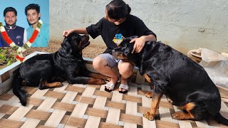 Dog missing his owner 🥺|| emotional dog || #rajveer #emotional #dog #rottweiler #therott ||