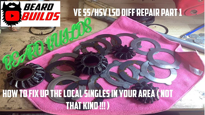 VE SS /HSV ZF DIFF REPAIR PT1 (VF SS may be the same )