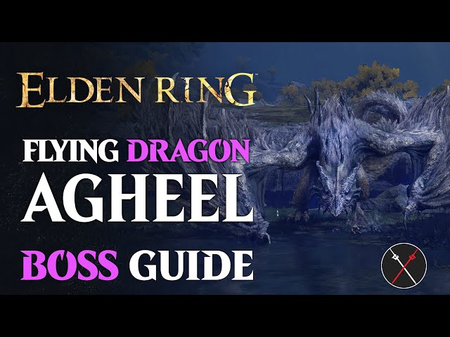 Elden Ring Flying Dragon Agheel boss fight