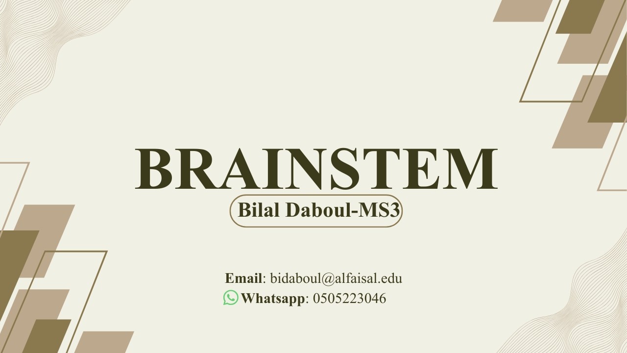 Brainstem and Lesions | Bilal Daboul | NEU 241