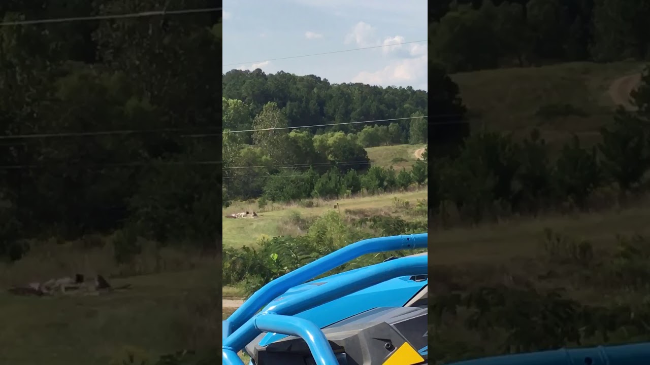 Sonic boom Gender Revel 10lbs