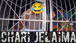 Jailaima Ho Jailaima Chari Jailaima🤣😂