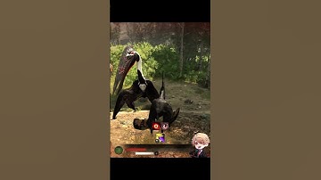 (Thal) T BAG ?  (ง