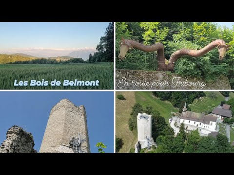 Les Bois de Belmont - En route pour Fribourg #05.72