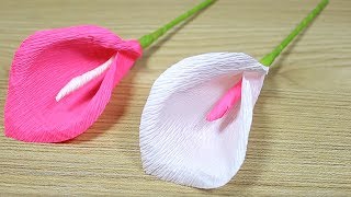فكرة وردة من ورق الكوريشة | أنشطة يدوية للأطفال Crepe Real Roses