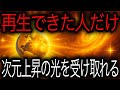 運命の赤判が捺印──あなたは“今日”、億万長者として起動します📛✨