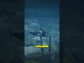 Secret Peyote Plant Rockstar Hid in GTA 5!