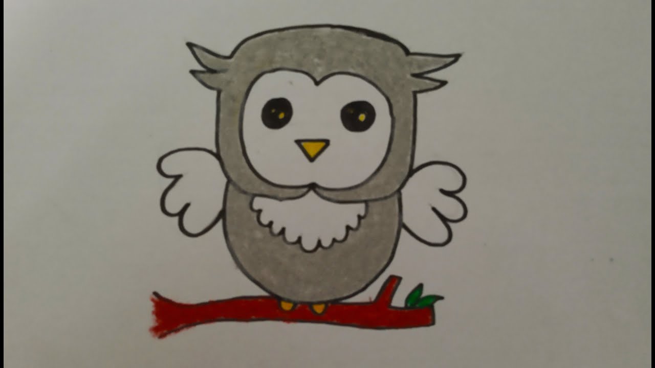 Vẽ Và Tô Màu Chim Cú Mèo Đơn Giản /Draw owl cat - YouTube