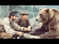 Mountain Men Examined A Captured Grizzly — Couldn’t Understand Why It Survived A Fight It Shouldn’t