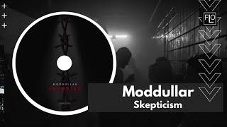 Moddullar - Skepticism