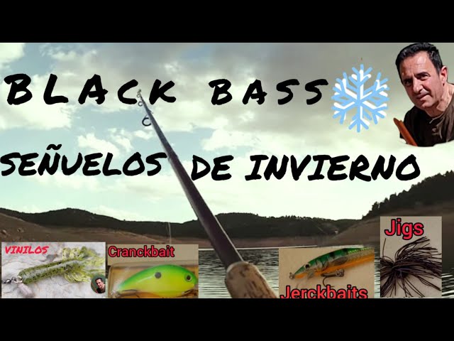CLASSIC, BEST and MOST EFFECTIVE LURES FOR BLACK BASS FISHING in WINTER  SEASON. 