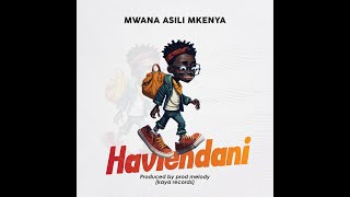 Mwana Asili | HAVIENDANI ( lyrical video)