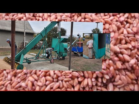 Подготовка семян к