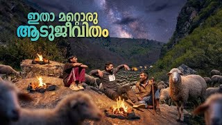 കശ്മീരിൽ ഞാൻ അറിയാതെ എത്തിപ്പെട്ട ലോകം! A day with shepherds in the mountains of Kashmir! 