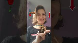 Duften,Stinken,Riechen Jelentései