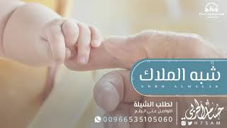 شيلة مواليد حماسية -  شيلات مواليد 2024