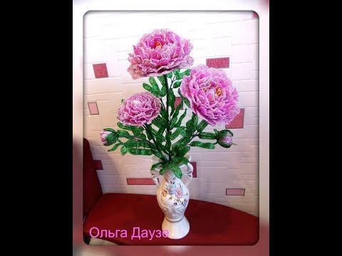 Vídeo: Peony Esquena Ovalada