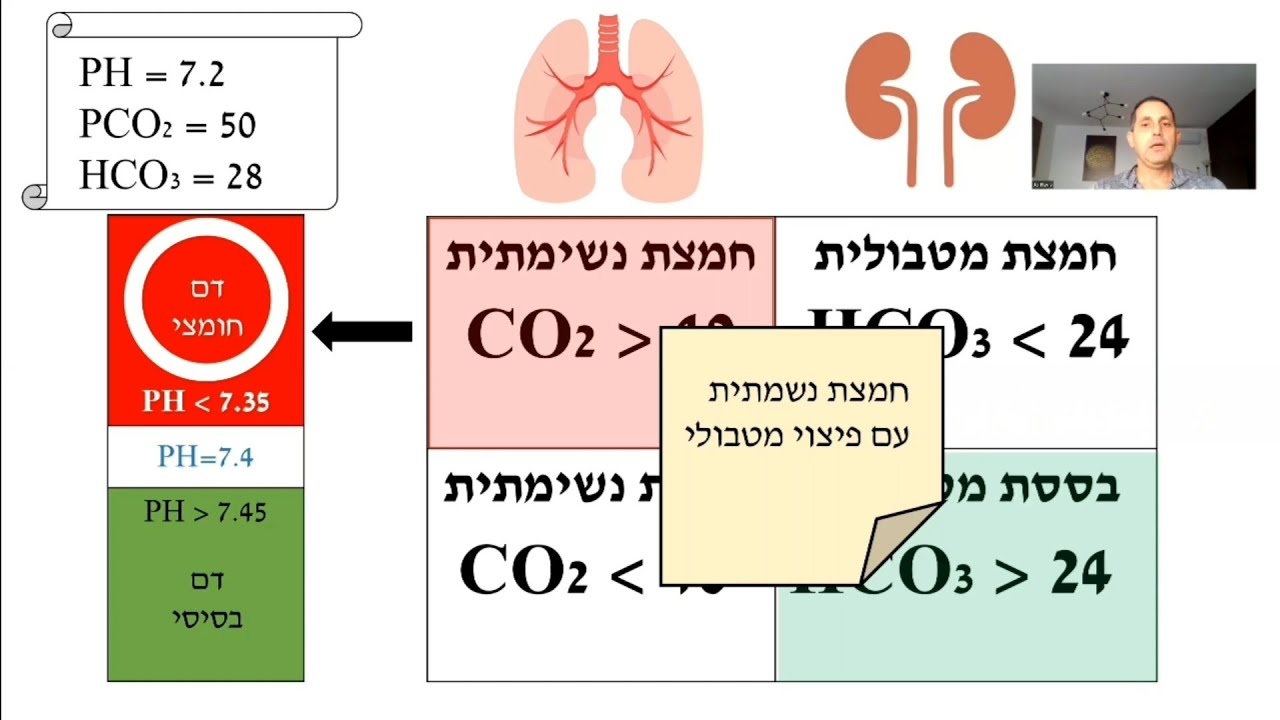 מבוא לגזים בדם: פענוח חומצה בסיס