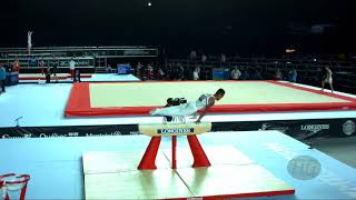 HEGGEMSNES Sofus (NOR) - 2017 Artistic Worlds, Montréal (CAN) - Qualifications Pommel Horse