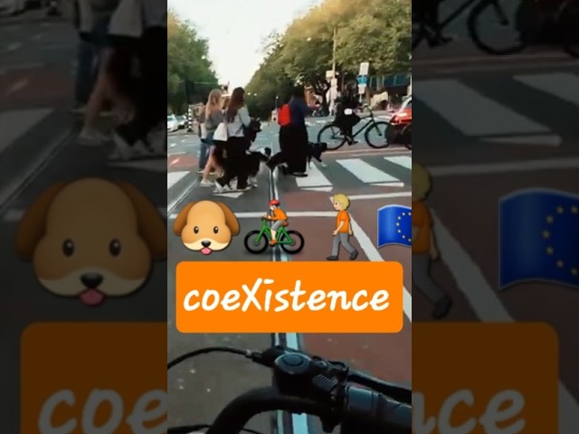european cities 💙 and we think it's beautiful 🇪🇺 amsterdam