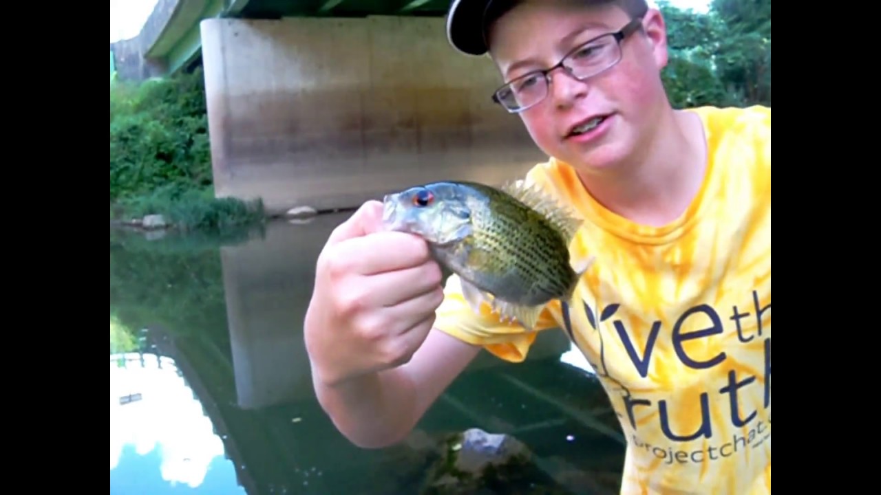 Multi Species Fishing 1 Buffalo Creek WV Blugill,Rock Bass,and