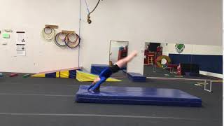 Famous hs flatback Net Worth