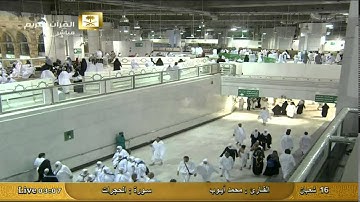سورة الحجرات Al-Hujurat - محمد أيوب Al Haramien HD