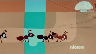 Detalles Ant [Animanimals - S1:E9] Actualización