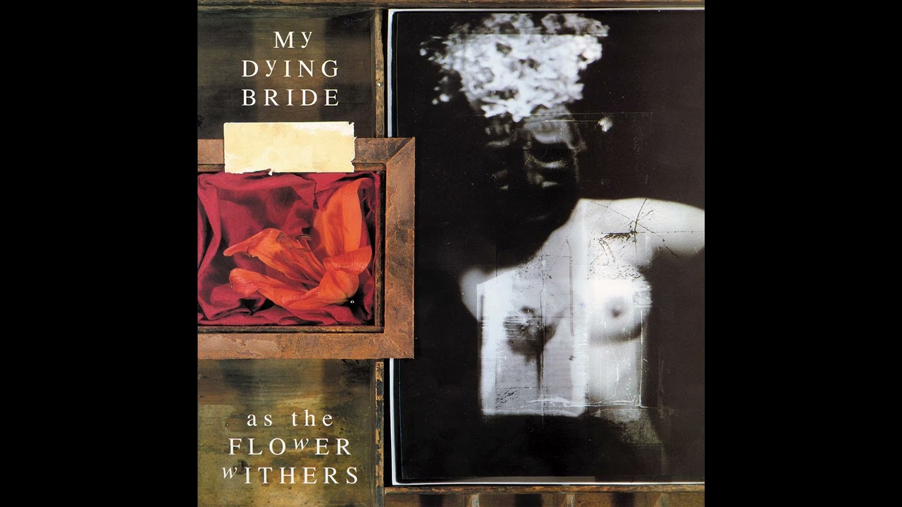MY DYING BRIDE 