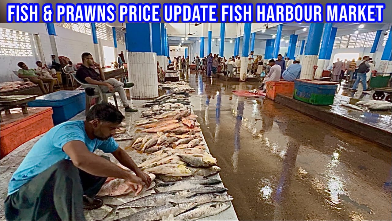 FISH & PRAWNS PRICE UPDATE FISH HARBOUR MARKET February 25, 2026