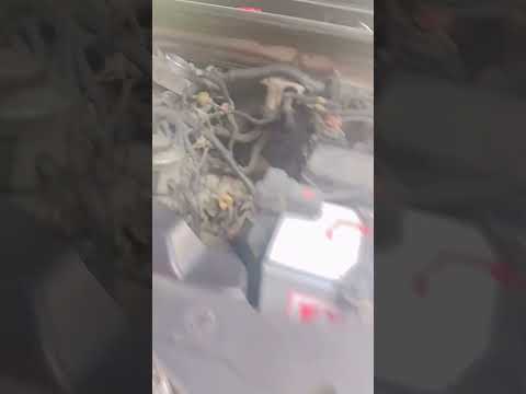 Toyota Prado water