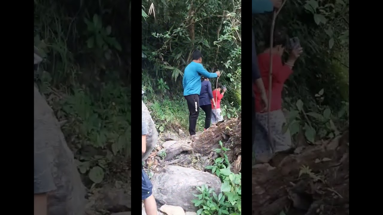 Rocky Island tracking ||রকি আইল্যান্ড || Dooars|| Naihati_bong || friends trip 2022