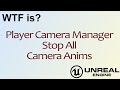 WTF Is? Stop All Camera Anims in Unreal Engine 4 ( UE4 )