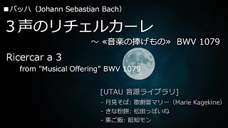 [DTM - UTAU] バッハ：３声のリチェルカーレ（≪音楽の捧げもの≫より）