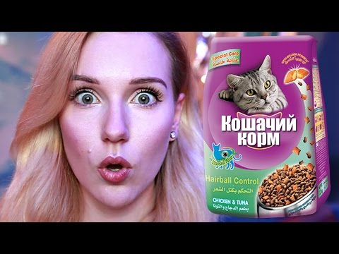 ПРОБУЮ КОШАЧИЙ КОРМ?*