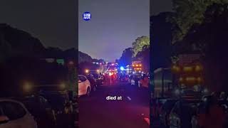 Horror head-on collision on the Bruce Highway | 9 News Australia