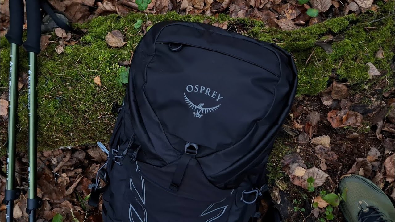 Solo autumn hike in the forest