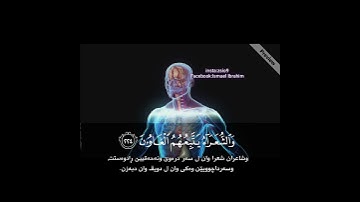 أجمل تلاوة هادئة يخشع لها القلب | سورة الشعراء